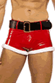 サンタ・クリスマス衣装 LRBLI787
